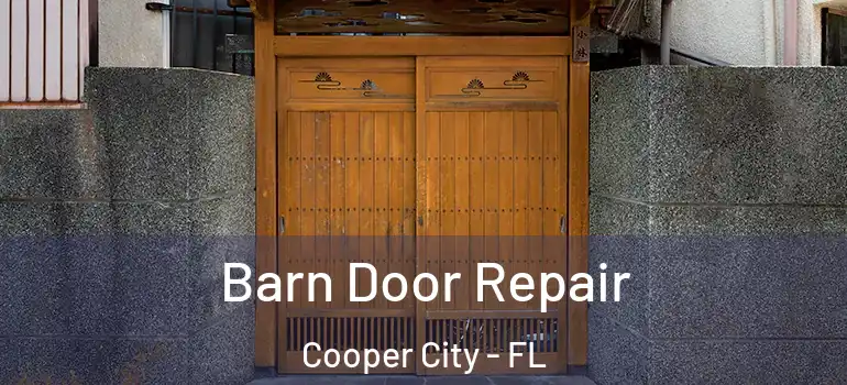 Barn Door Repair Cooper City - FL