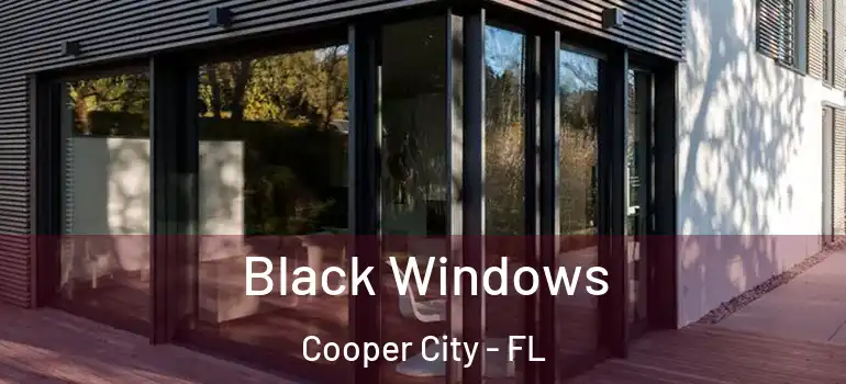 Black Windows Cooper City - FL