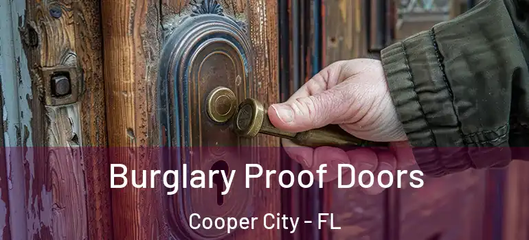  Burglary Proof Doors Cooper City - FL