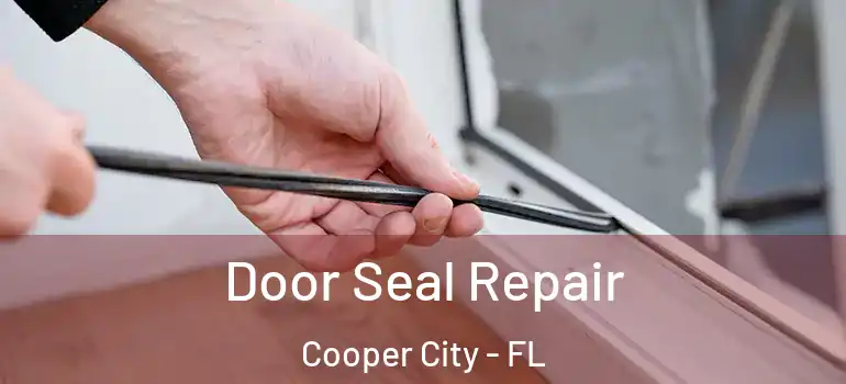  Door Seal Repair Cooper City - FL