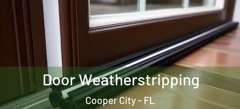  Door Weatherstripping Cooper City - FL
