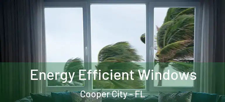  Energy Efficient Windows Cooper City - FL