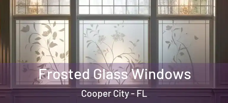  Frosted Glass Windows Cooper City - FL