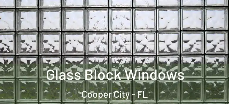  Glass Block Windows Cooper City - FL