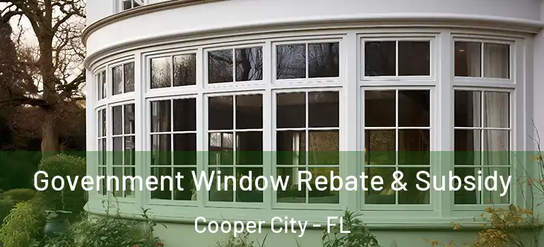  Government Window Rebate & Subsidy Cooper City - FL