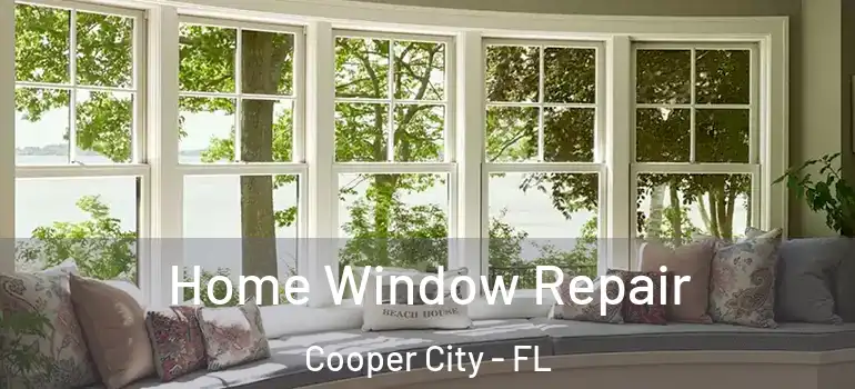  Home Window Repair Cooper City - FL