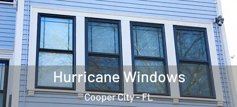  Hurricane Windows Cooper City - FL