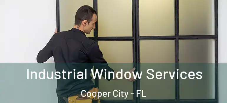  Industrial Window Services Cooper City - FL