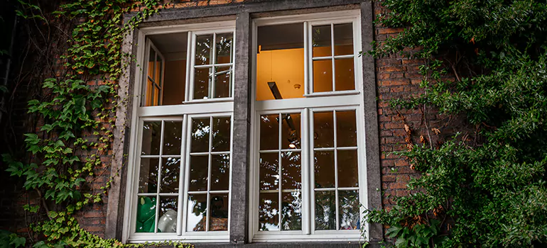 Energy Efficient Wood Windows in Cooper City, FL