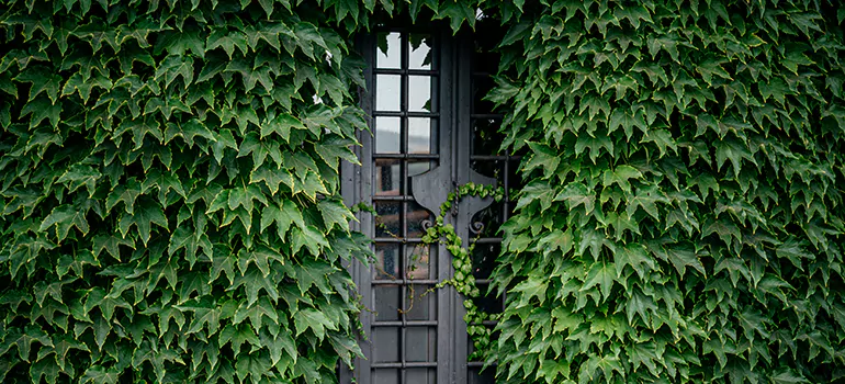 Garden Gate Repair in Cooper City, FL