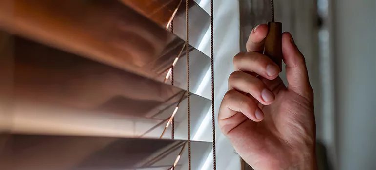 Double Roller Blinds in Cooper City, FL