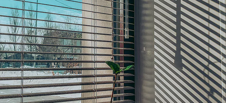 Commercial Window Blinds in Cooper City, FL