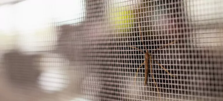 Repair Mosquito Mesh For Windows in Cooper City, FL