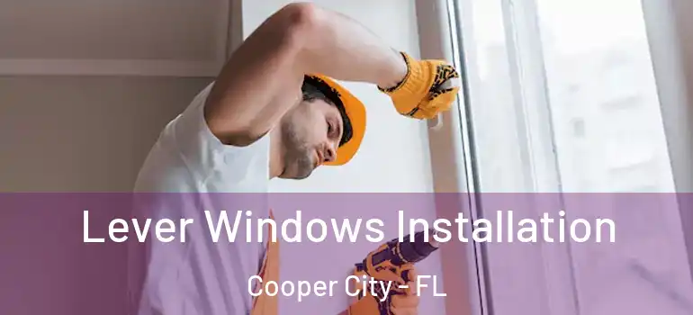  Lever Windows Installation Cooper City - FL