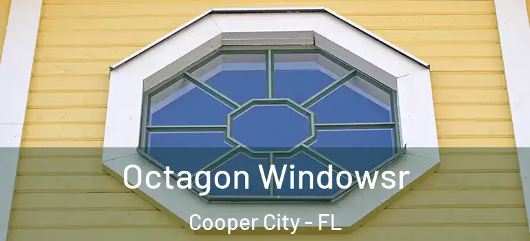  Octagon Windowsr Cooper City - FL