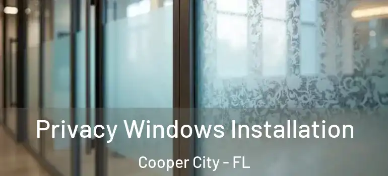  Privacy Windows Installation Cooper City - FL
