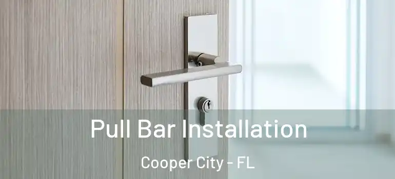  Pull Bar Installation Cooper City - FL