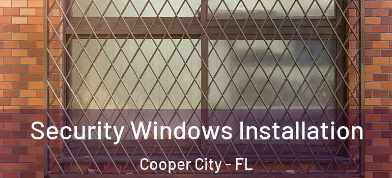 Security Windows Installation Cooper City - FL
