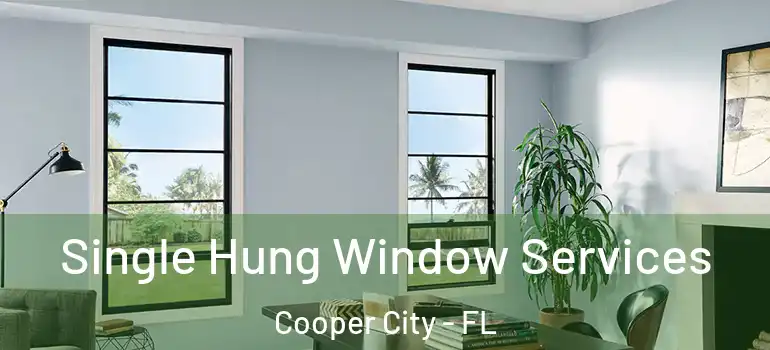  Single Hung Window Services Cooper City - FL