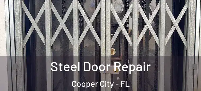  Steel Door Repair Cooper City - FL