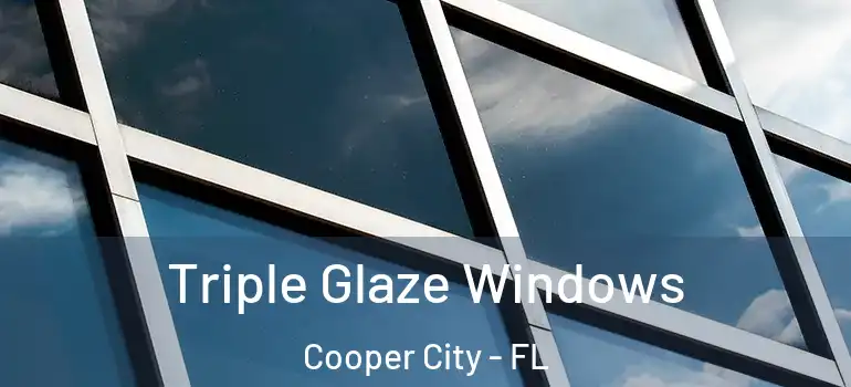  Triple Glaze Windows Cooper City - FL