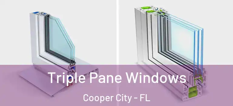 Triple Pane Windows Cooper City - FL