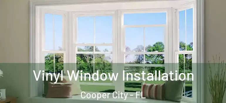  Vinyl Window Installation Cooper City - FL