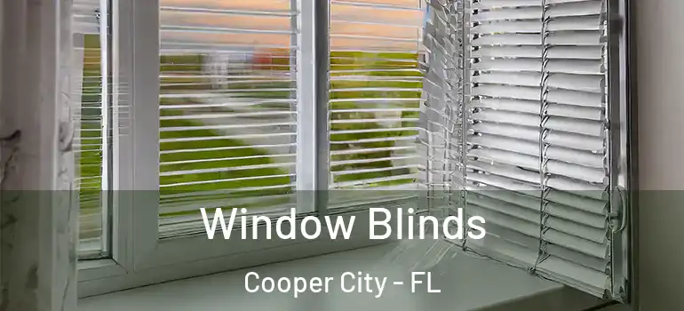  Window Blinds Cooper City - FL