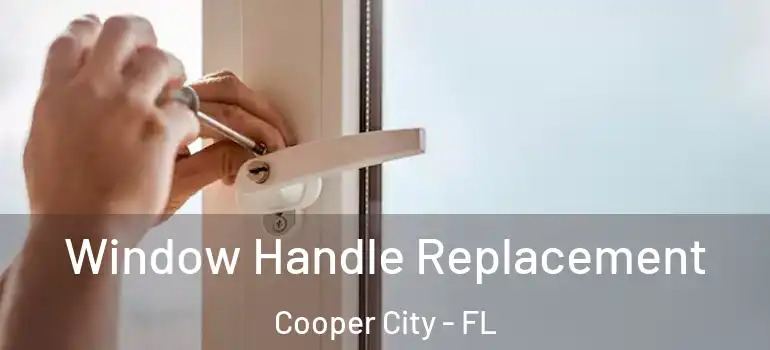  Window Handle Replacement Cooper City - FL