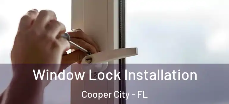  Window Lock Installation Cooper City - FL