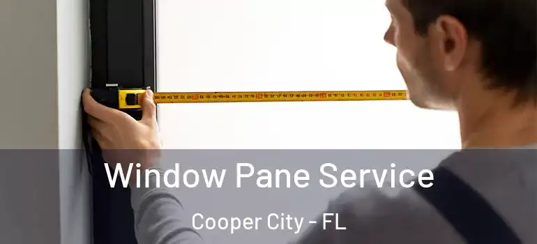  Window Pane Service Cooper City - FL