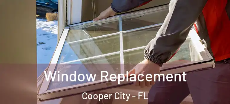  Window Replacement Cooper City - FL