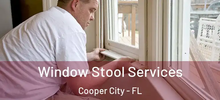  Window Stool Services Cooper City - FL