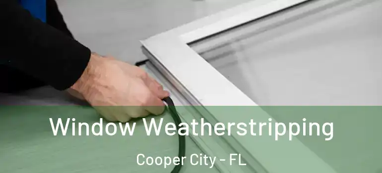  Window Weatherstripping Cooper City - FL